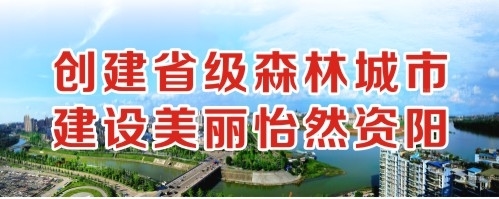 逼穴日创建省级森林城市 建设美丽怡然资阳